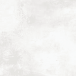 PNZ01 Silver