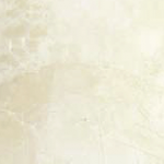 PV223 Dandelion